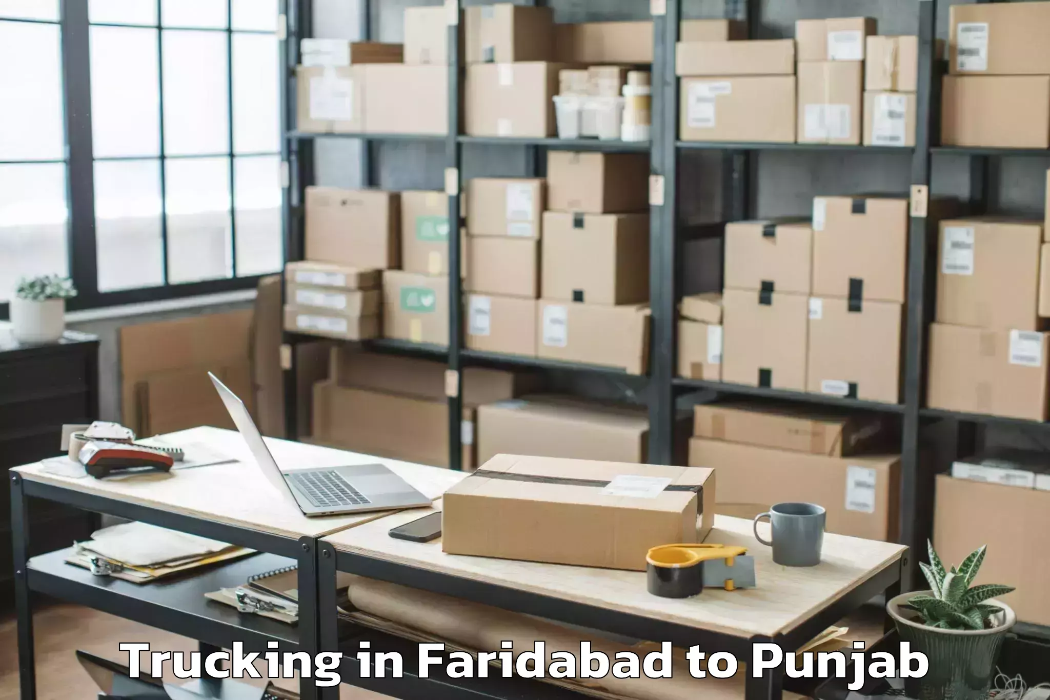 Book Faridabad to Dhanaula Trucking Online